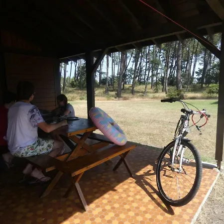 Pissos, Studio Flat, 2 Persons - Fr-1-360-596 *